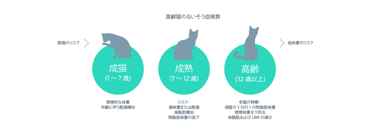高齢猫のるいそう症候群のグラフィック