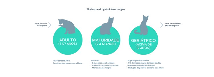 gráfico de síndrome do gato velho magro