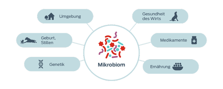 Symbol „Faktoren, die das Mikrobiom beeinflussen“
