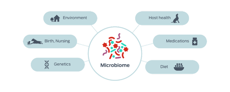 factors influencing the microbiomes icon
