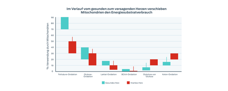 Grafik: Verschiebung der Energiesubstratnutzung in den Mitochondrien