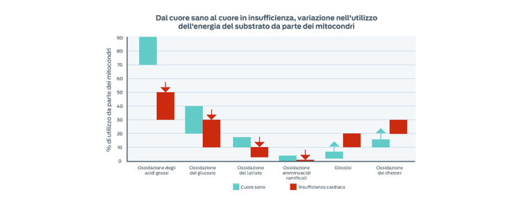 grafico di tutto il substrato di spostamento dell'energia del mitocondrio
