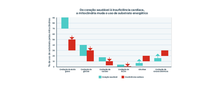 gráfico mitocôndria muda o uso de substrato energético