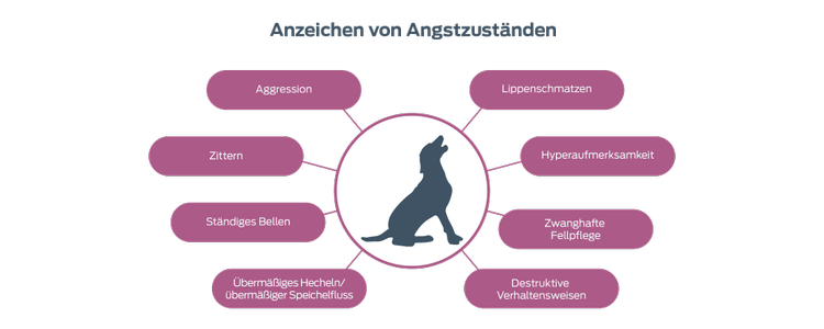 Anzeichen für Angst Aggressionen Zittern Anhaltendes Bellen Übermäßiges Hecheln/erhöhter Speichelfluss Lippenschmatzen. Gesteigerte Wachsamkeit Zwanghafte Fellpflege Zerstörerische Verhaltensweisen