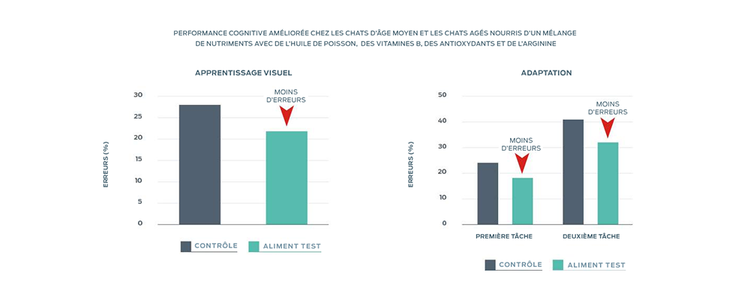 l'institut purina améliore les performances cognitives