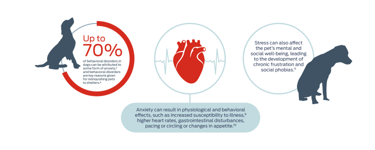 Up to 70% of behavioral disorders in dogs can be attributed to some form of anxiety,5 and behavioral disorders are key reasons given for relinquishing pets to shelters.8 Anxiety can result in physiological and behavioral effects, such as increased susceptibility to illness,9 higher heart rates, gastrointestinal disturbances, pacing or circling or changes in appetite.10 Stress can also affect the pet's mental and social well-being, leading to the development of chronic frustration and social phobias.11