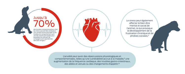 Jusqu'à 70 % des troubles du comportement chez les chiens peuvent être attribués à une certaine forme d'anxiété5 et les troubles du comportement sont la principale raison invoquée lors de l'abandon d'animaux de compagnie dans des refuges8. L'anxiété peut entraîner des effets physiologiques et comportementaux, tels qu'une sensibilité accrue aux maladies9, une augmentation du rythme cardiaque, des troubles gastro-intestinaux, des va-et-vient incessants ou des troubles de l'appétit10. Le stress peut également