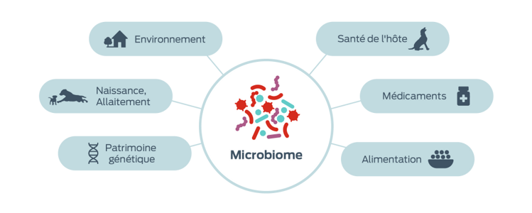icône Facteurs influençant les microbiomes