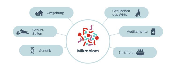 Symbol „Faktoren, die das Mikrobiom beeinflussen“