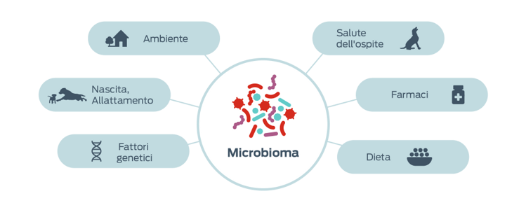 icona fattori che influenzano i microbiomi
