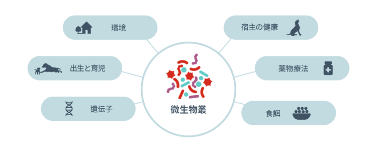 微生物相への影響要因のアイコン