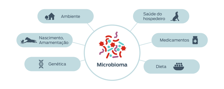 ícone fatores que influenciam os microbiomas