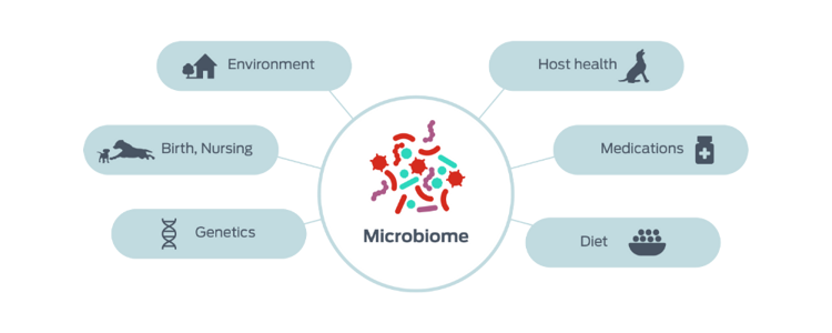 factors influencing the microbiomes icon