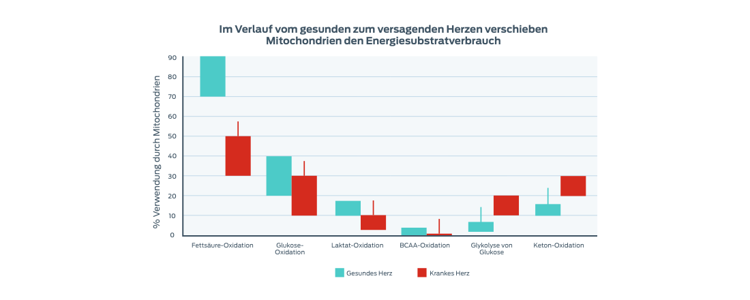 Grafik: Verschiebung der Energiesubstratnutzung in den Mitochondrien
