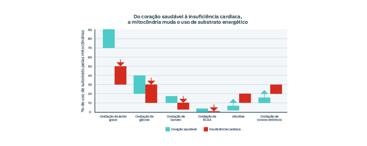 gráfico mitocôndria muda o uso de substrato energético