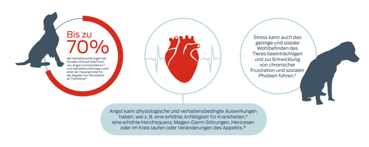 Bis zu 70 % der Verhaltensstörungen bei Hunden sind auf eine Form von Angst zurückzuführen5, und Verhaltensstörungen sind einer der Hauptgründe für die Abgabe von Haustieren in Tierheime.8 Angst kann sich auf physiologische Vorgänge und das Verhalten auswirken, wie z. B. in Form einer erhöhten Anfälligkeit für Krankheiten9, einer erhöhten Herzfrequenz, Magen-Darm-Störungen, Auf- und Ablaufen oder Kreisen oder Veränderungen des Appetits.10 Auch Stress kann sich auf das psychische und soziale Wohlbefinden ein