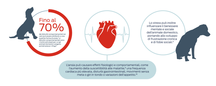 Fino al 70% dei disturbi comportamentali nei cani può essere attribuito a una qualche forma di ansia,5 e i disturbi comportamentali sono tra le motivazioni principali date dai proprietari per l'affidamento degli animali ai canili.8 L'ansia può provocare effetti fisiologici e comportamentali, come aumento della suscettibilità alle malattie,9 aumento della frequenza cardiaca, disturbi gastrointestinali, movimenti senza meta o variazioni dell'appetito.10 Lo stress inoltre può influenzare il benessere mentale e