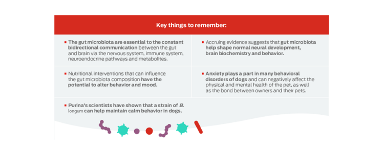 key things to remember
