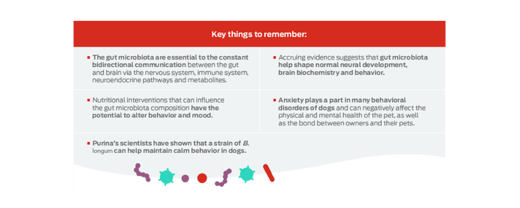 key things to remember