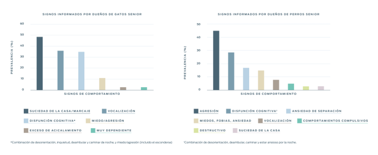 gráficos de comportamiento de salud cerebral