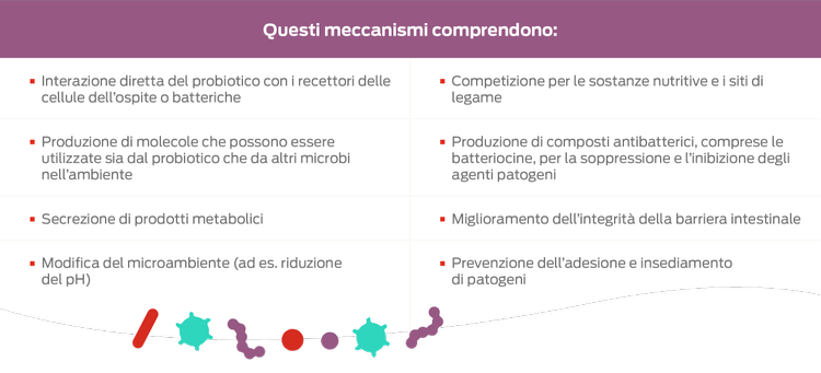 tabella dei meccanismi