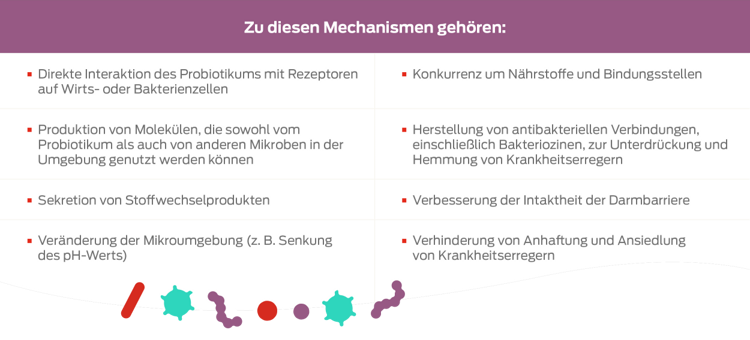Tabelle „Mechanismus“