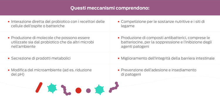 tabella dei meccanismi