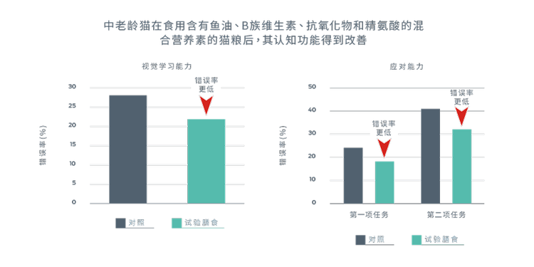中老龄猫在食用含有鱼油