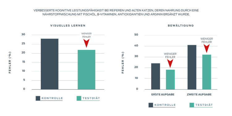 Das Purina-Institut verbesserte die kognitive Leistung