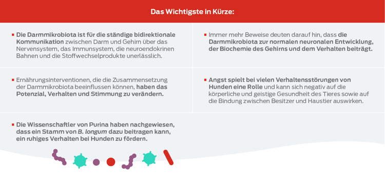 Das Wichtigste in Kürze