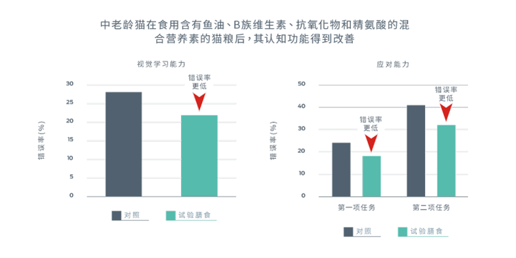 中老龄猫在食用含有鱼油