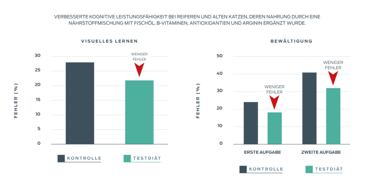 Das Purina-Institut verbesserte die kognitive Leistung
