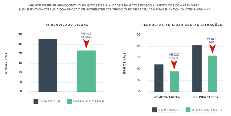 instituto purina melhorou o desempenho cognitivo