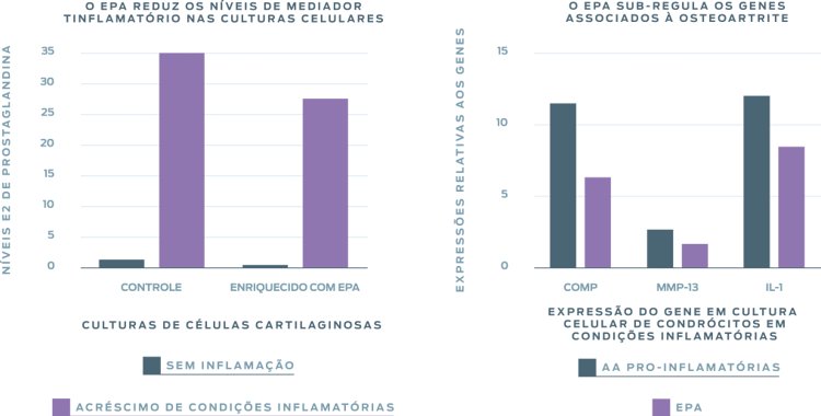 gráfico purina