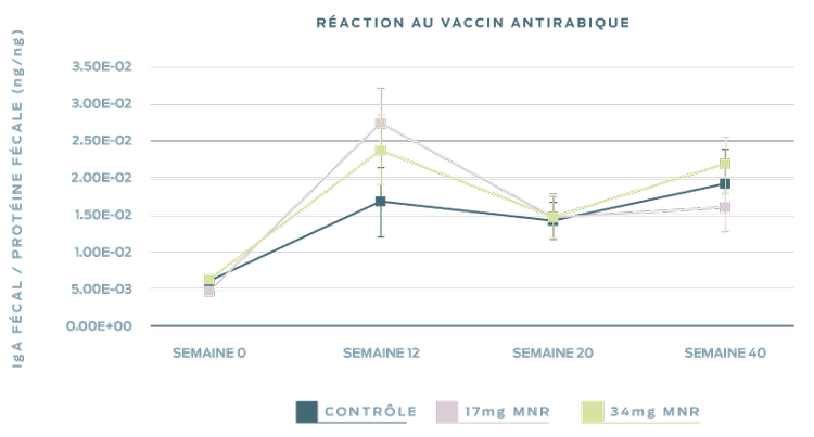 réponse-au-vaccin-antirabique