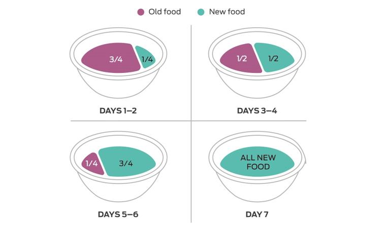 gráfico de cambio de alimentos para mascotas