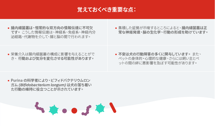 覚えておくべき重要ポイント