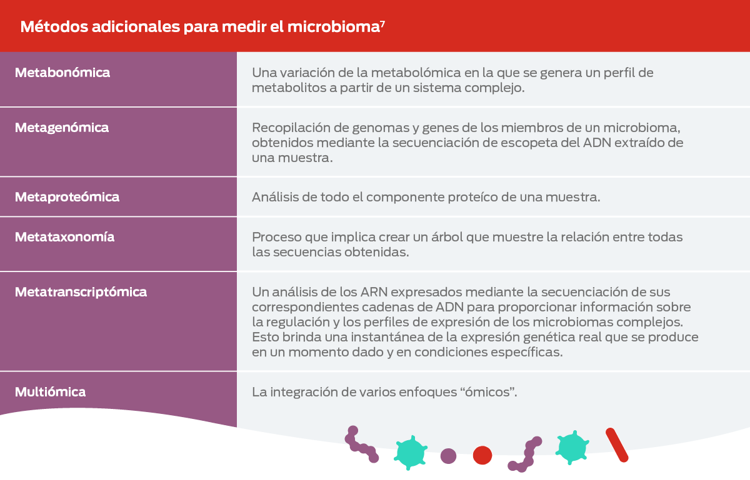 Métodos adicionales para medir el microbioma: footnote 7. Metabonómica - Una variación de la metabolómica en la que se genera un perfil de metabolitos a partir de un sistema complejo. Metagenómica - Recopilación de genomas y genes de los miembros de un microbioma, obtiendos mediante la secuenciación de escopeta del ADN extraído de una muestra. Metaproteómica - Análisis de todo el componente proteíco de una muestra. Metataxonomía - Proseco que implica crear un árbol que muestre le relación entra todas las se