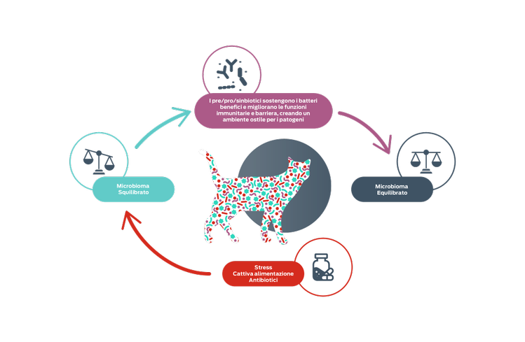 icona equilibrio intestinale
