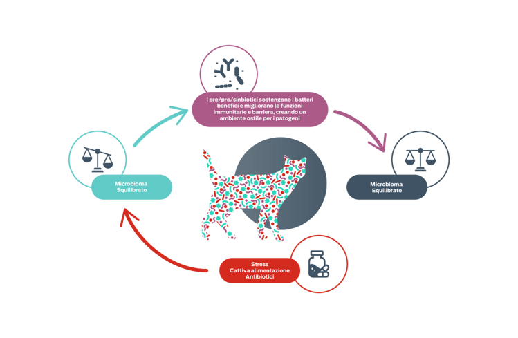 icona equilibrio intestinale