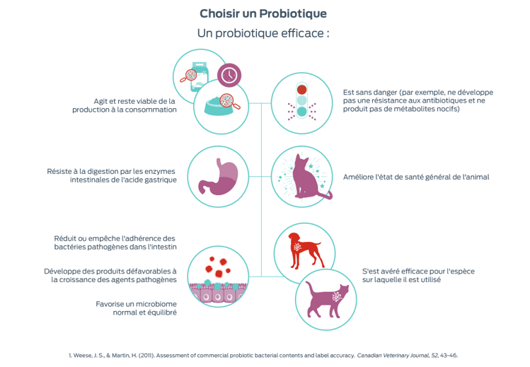 choisir un probiotique