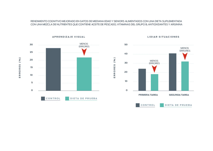 El instituto Purina mejoró el rendimiento cognitivo.