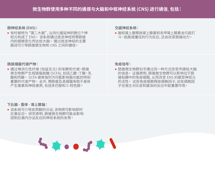 脑中枢神经系统表