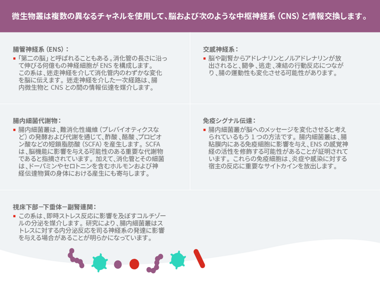 脳中枢神経系のテーブル