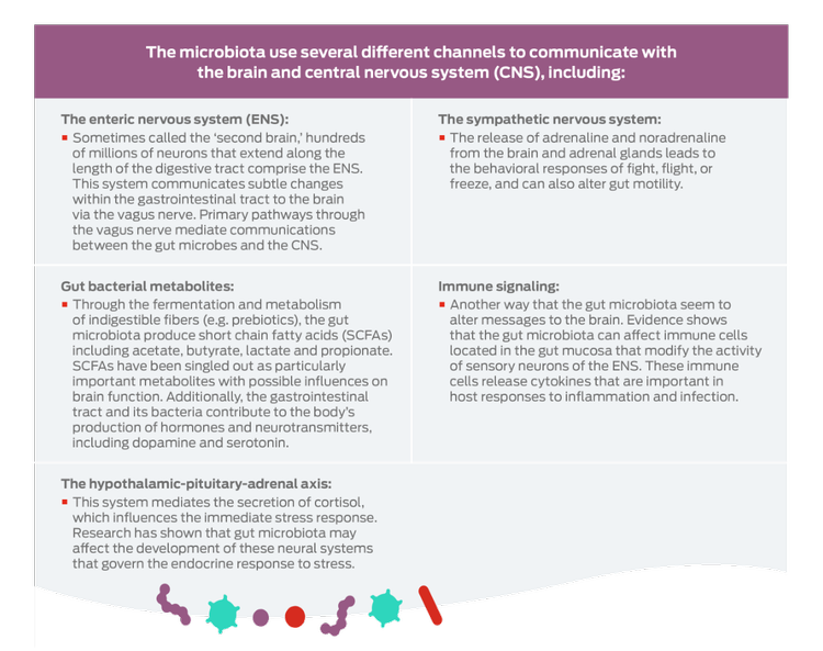 brain central nervous system table