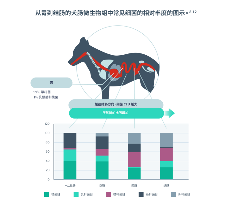 代表性相对丰度普通细菌