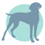 gráfico de cachorro