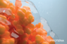 purina instituto omnics proteomics
