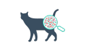 icona ingrandimento gatto