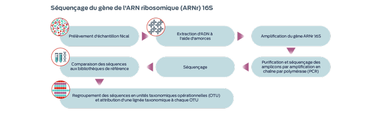 Séquençage du gène de l'ARN ribosomique (ARNr) 16S